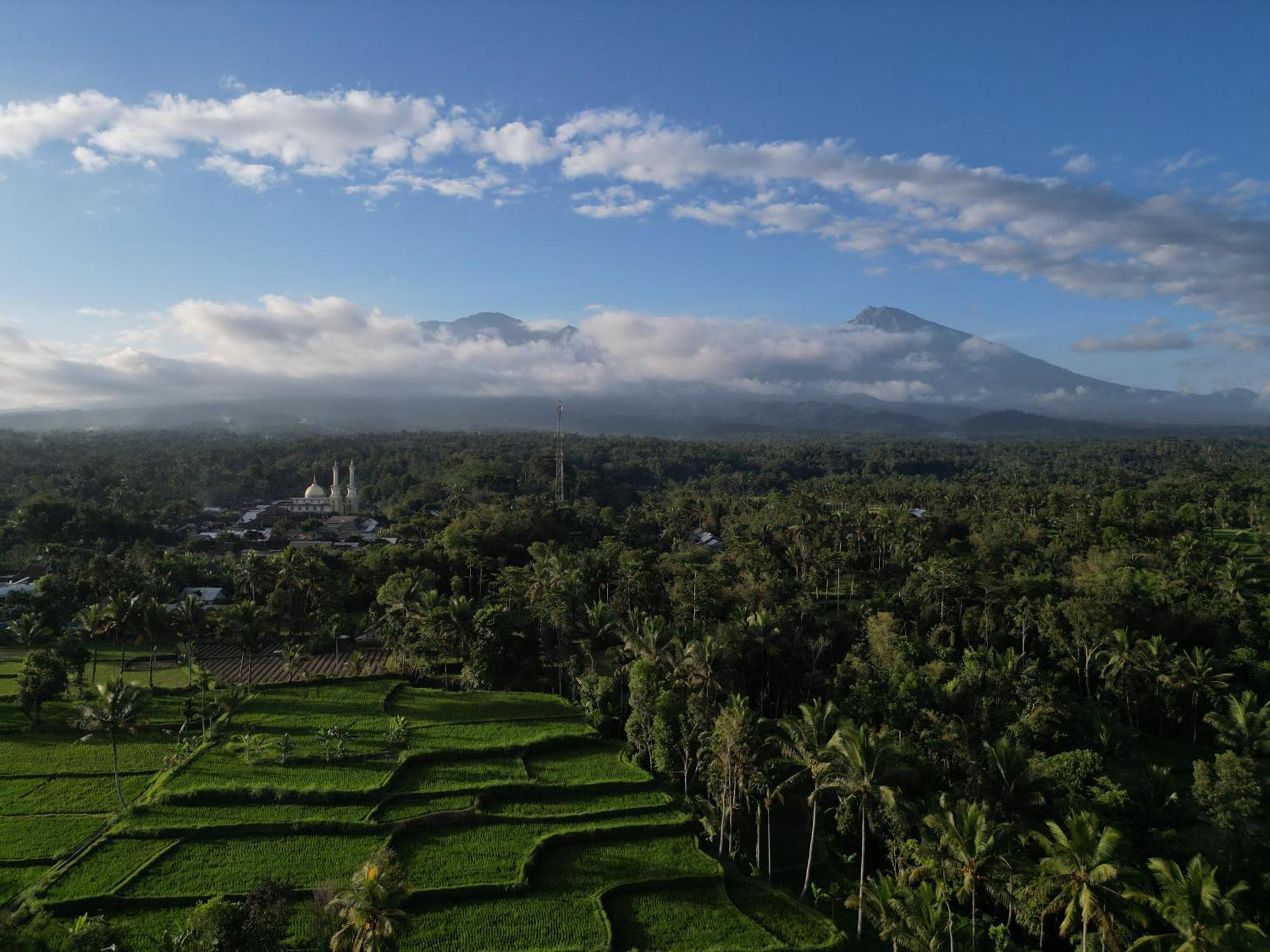 Green Orry Inn Tetebatu Exterior photo